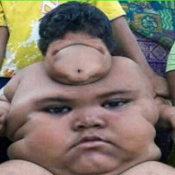 Meet your Posher, Wyatt - Picture 1 of 1